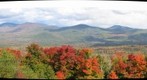 Autumn - Foliage in White Mountain