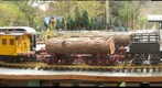 Mendocino Garden railroad