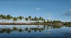 Fish Pond near Anaeho'omalu Beach, Big Island, Hawaii