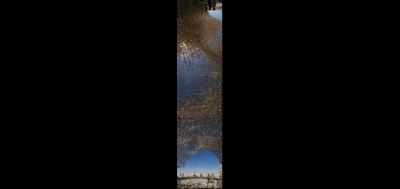 1425-400x189
