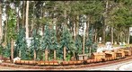 Railroad camp - model railroad