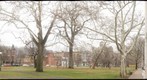 84-C park 
