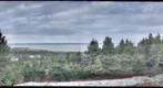 Broad Cove Marsh View