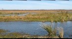 Savannah, GA Wildlife Refuge