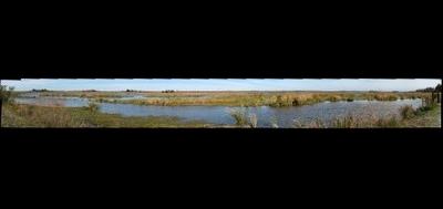 14511-400x189