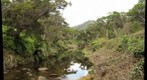 Kawaikoi Stream Trail