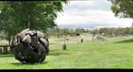 Sphere sculptures at the Wild Brumby distillery