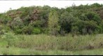 Lindani Private Game Reserve _Cliff at Masikwen