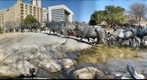 Cattle drive along the trail
