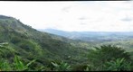 Buenavista Quindio Colombia coffee region