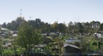 Allotment gardens near Den Bosch