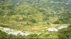 Mayoyao
