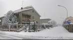 Snow in Pregnana