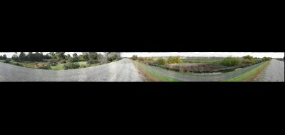 14763-400x189