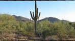 Desert view