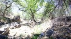 360 view Winery Springs, Morning Star Ranch