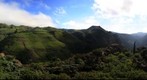 Caideros y Tamadaba. Isla de Gran Canaria