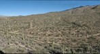 Count the Cacti!!!