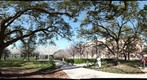 Rice University: Stacey and Junrong and the Two Towers