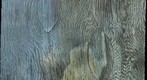 Back Yard Shed macro test-GigaPan stitcher