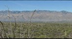 Santa Catalina Mountains from Saguaro National Park