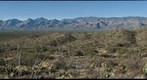 Tucson & Santa Catalina Mountains from Saguaro National Park