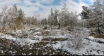 Snow Zahedan Iran