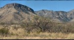 Whetstone Range, southern Arizona