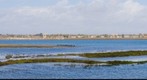 20080224 Bolsa Chica Pano 3