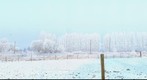 Groeninghe winter
