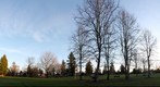 Knott Street Park - Portland, OR