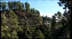 Almonds in blossom, La Palma