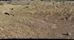 Dry Delta