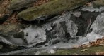 Springside Creek