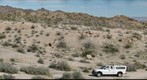 Newberry Mountain area, Nevada