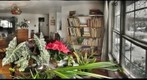 Flowers, Elephant Ear Plant, Lamp, and Snowy Windows