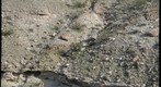 Birth of the lower Colorado River near Laughlin Nevada