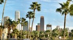 Downtown Los Angeles Thru Palm Trees