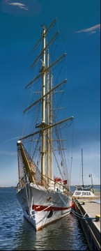 15339-145x360