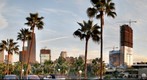 Los Angeles with Palms and New High rise
