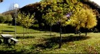 Parque Fabian Tascon