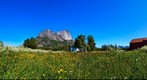 Grasslands - Lofoten, Norway