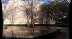 Rice University: Catherine and Mike at the Brochstein Reflection Pools