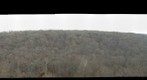 Patapsco Valley Overlook
