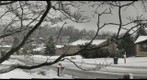 Suburbia, Snow and Bow