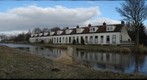 Woudbloem
