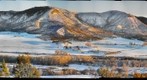 Colorado Elk Hunt