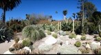 Huntington_desert_04