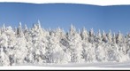 Winter at Black lakes