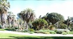 Huntington_desert_01